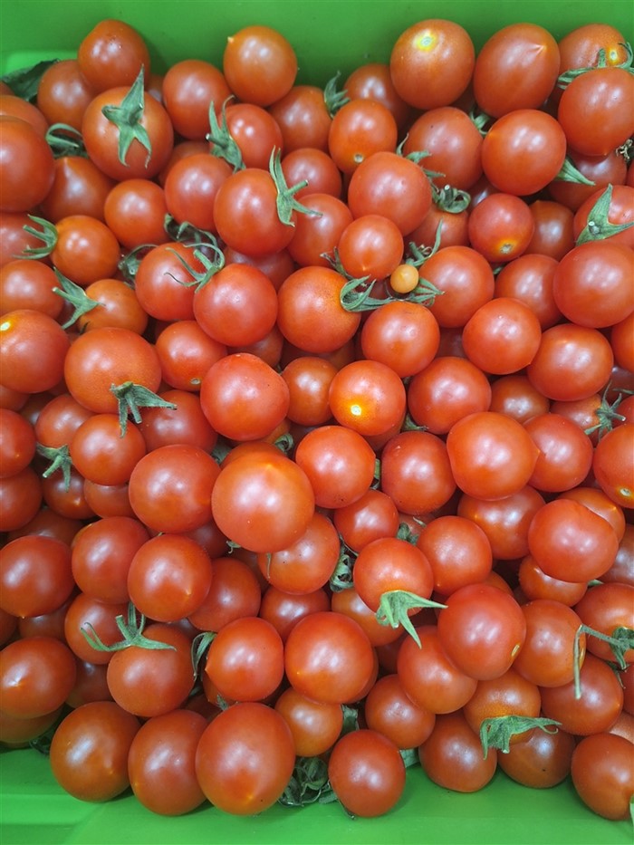Image Gallery - Cherry Tomato